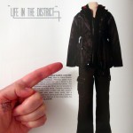 HungerGamesLargeCatPics